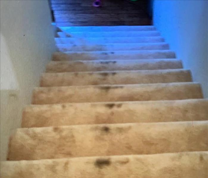 Water stained carpet on stairs