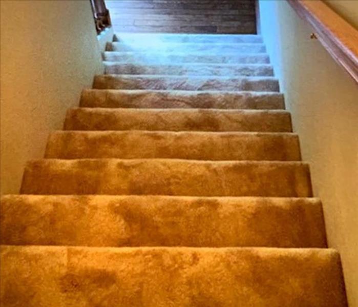 Restored and replaced carpet on the same stairs
