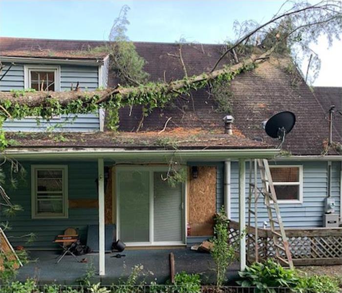 A tree fallen onto a home in West Virginia