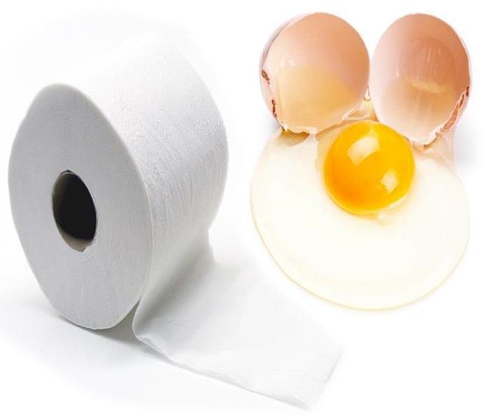 Toilet Paper lying on its side and to the right is a cracked egg shell, split it half with the egg and yolk on the floor